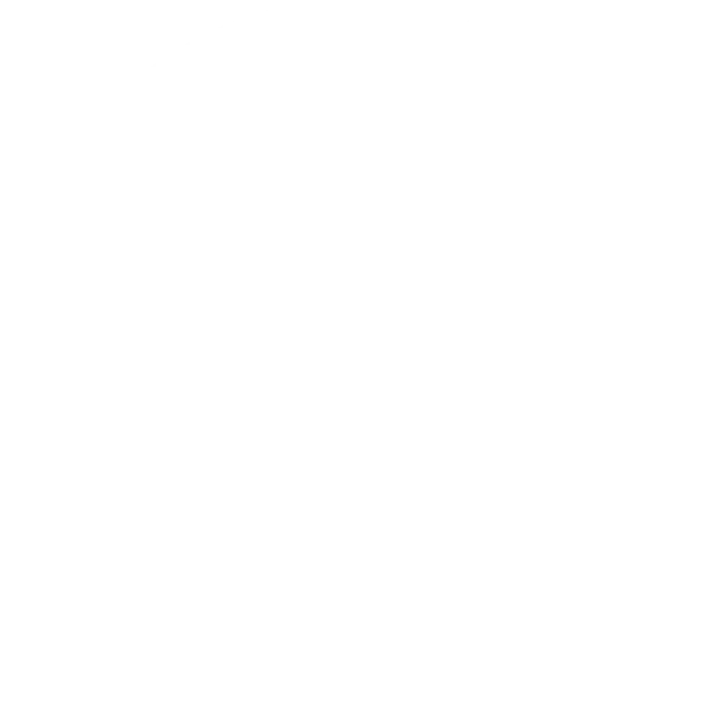 logo web 02